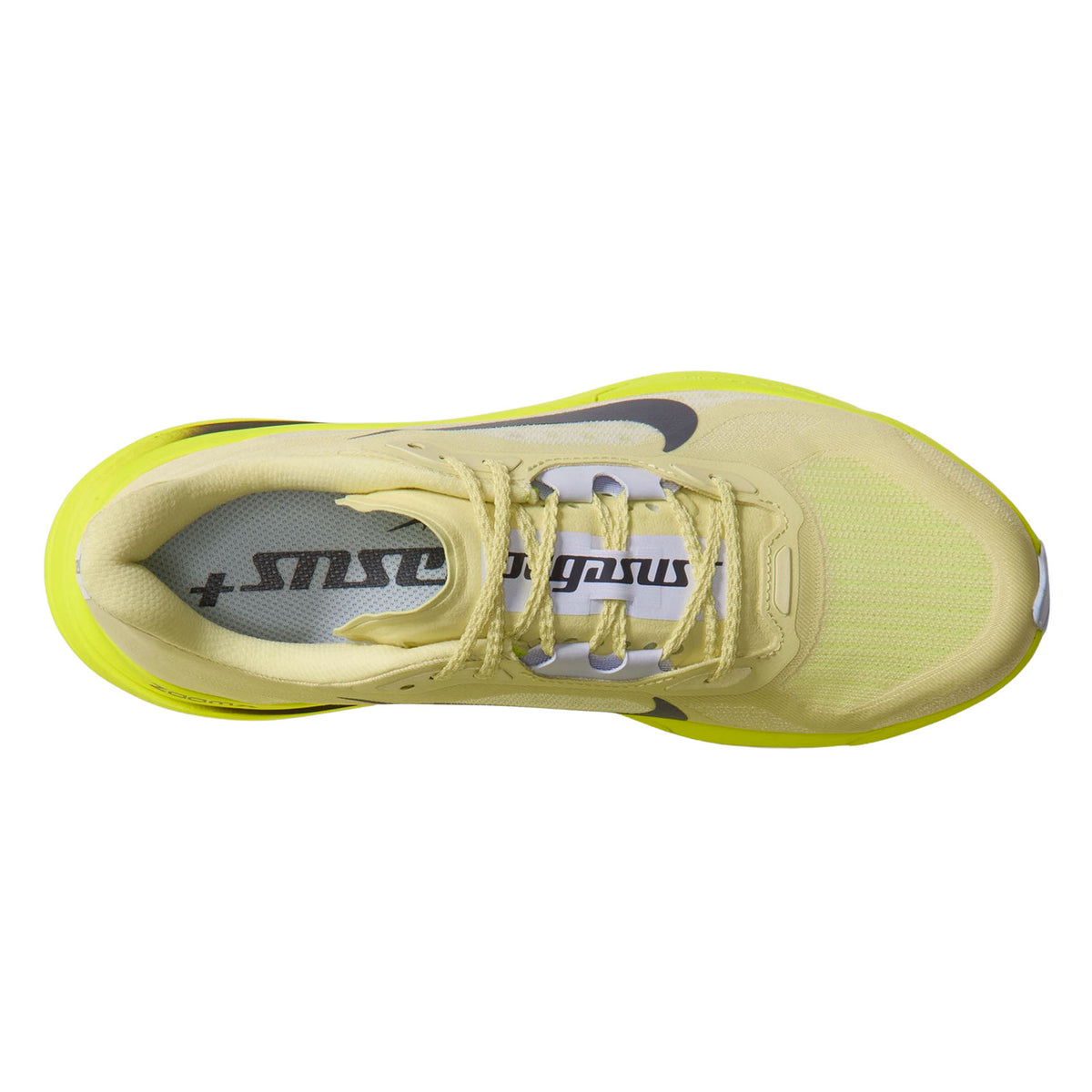 Womens Nike Pegasus Plus 2