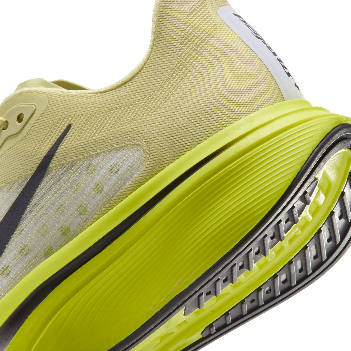 Womens Nike Pegasus Plus 2