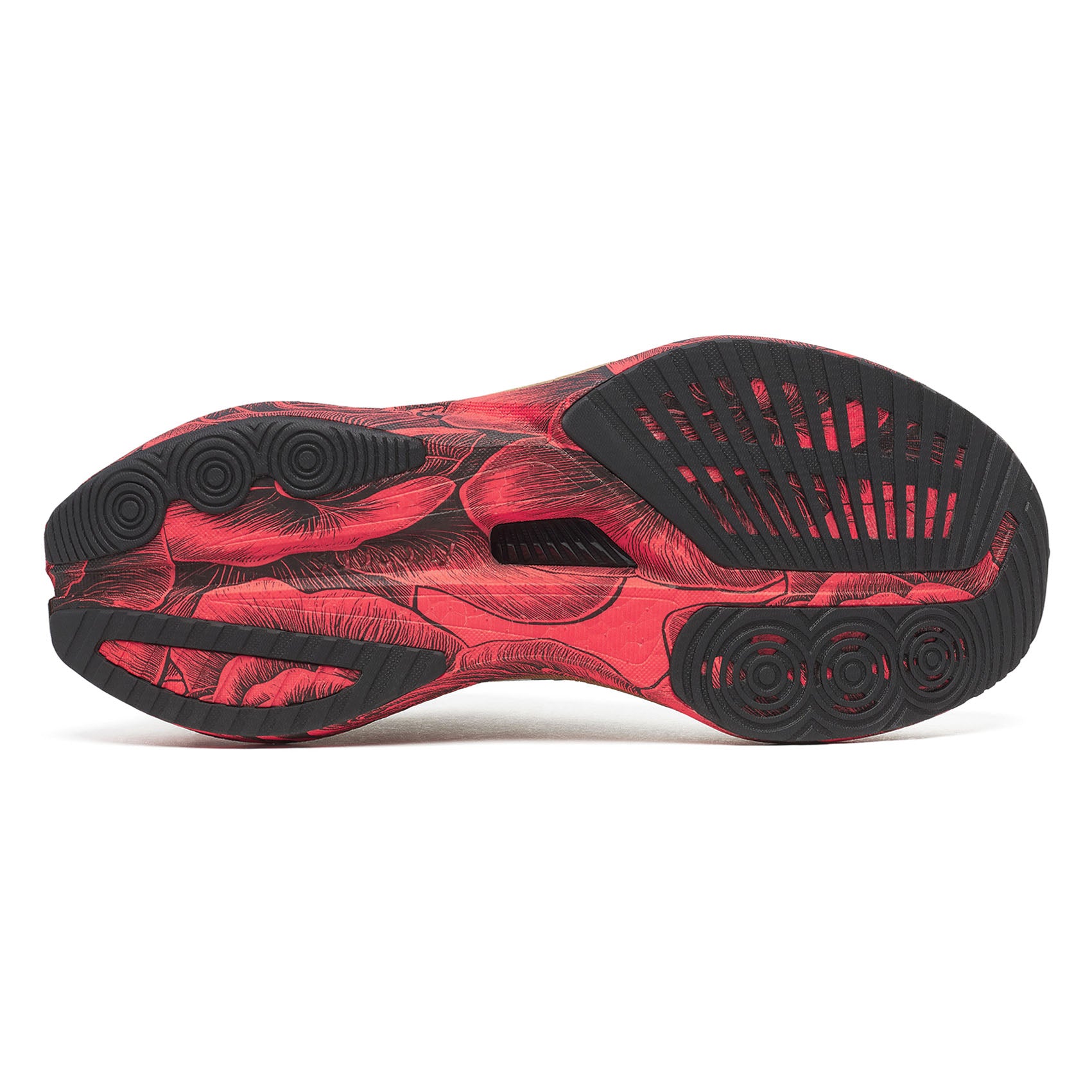 Womens Saucony Endorphin Speed 5