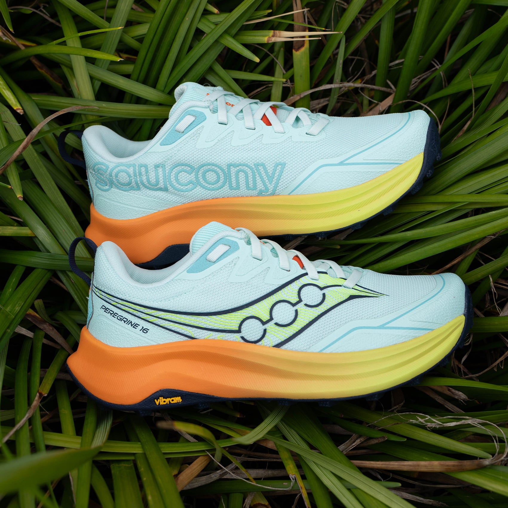 Womens Saucony Peregrine 16
