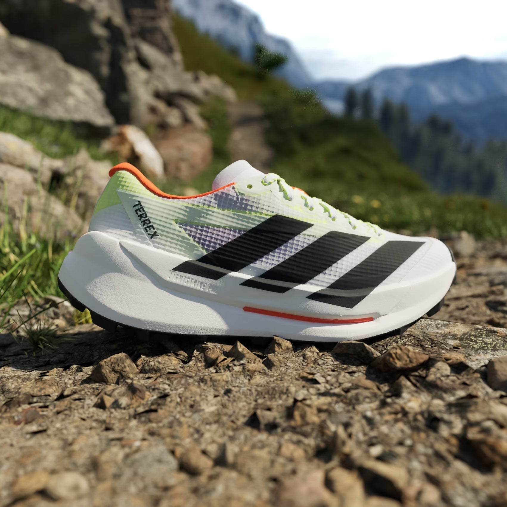 Mens adidas Terrex Agravic TT