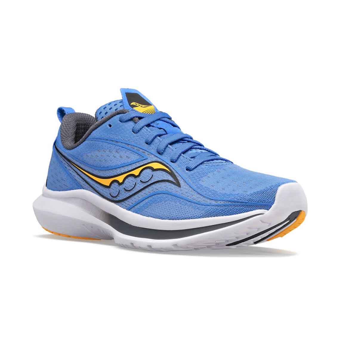 Womens Saucony Kinvara 13 - Horizon / Shadow